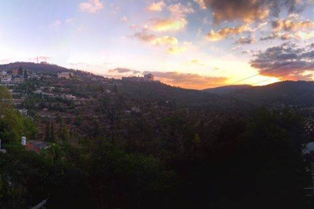 view from the aprtment