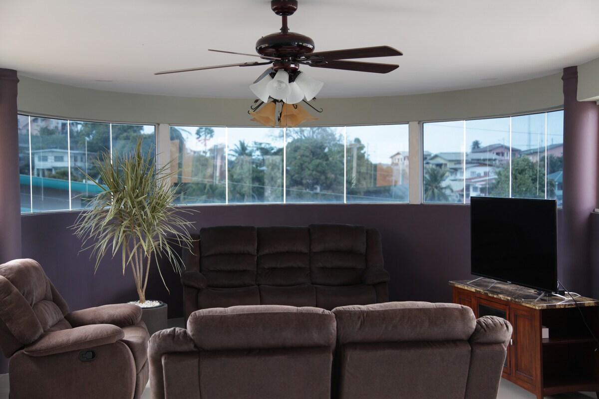 A comfortable seating area features plush brown sofas arranged around a wooden coffee table. A ceiling fan provides airflow above, while large windows offer panoramic views of the surrounding neighborhood. A tall indoor plant adds a touch of greenery to the space, complemented by a flat-screen TV.