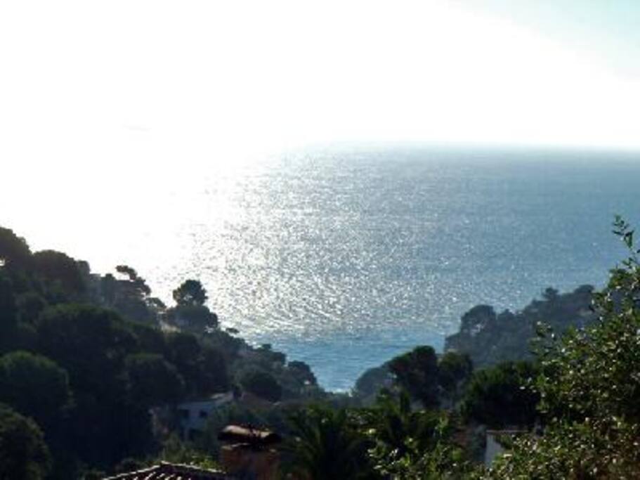Vistas