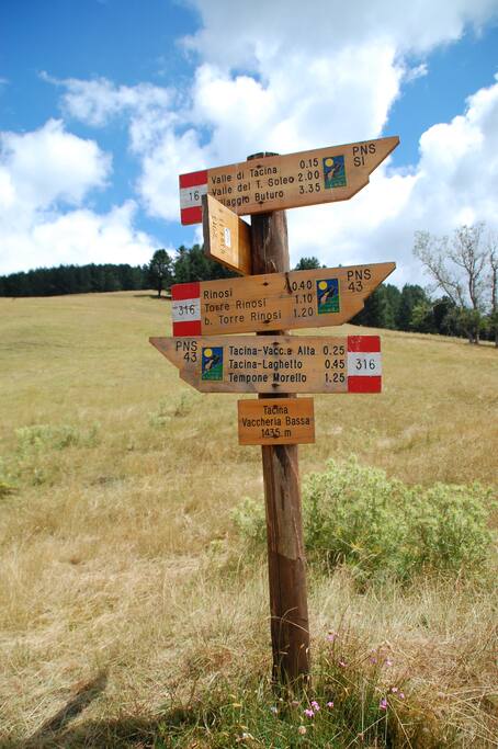 trail signs