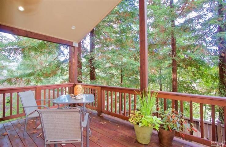 Riverview Hot Tub Stunning Russian River Views Cabins For