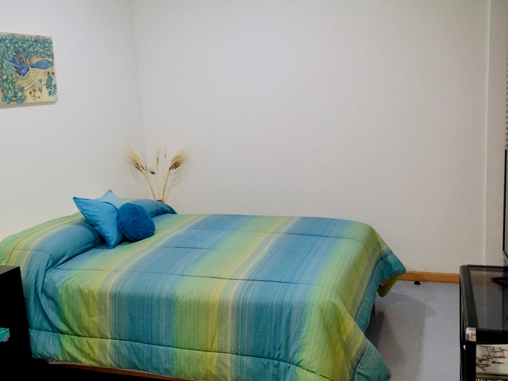 Popular Airbnb listing: Private and pleasant space in the south zone in Ciudad De México