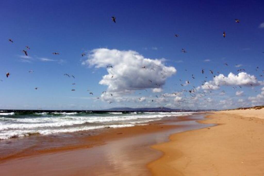Fonte da Telha beach