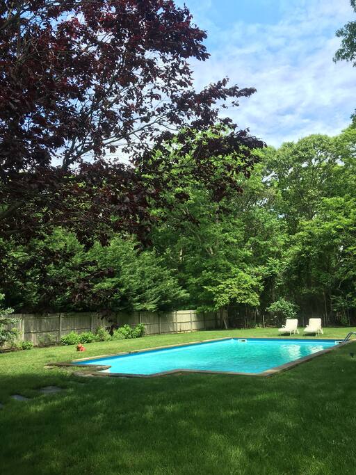 Large pool on sunny private half acre