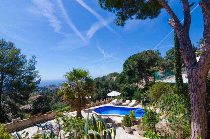 Club Villamar – Blossom gallery image 5