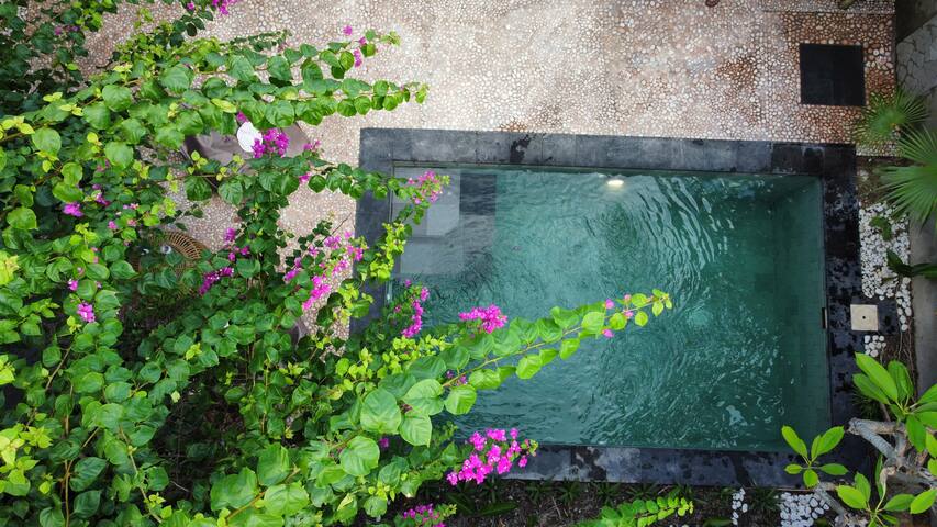 Ck Advice Boutique managed Airbnb listing 1