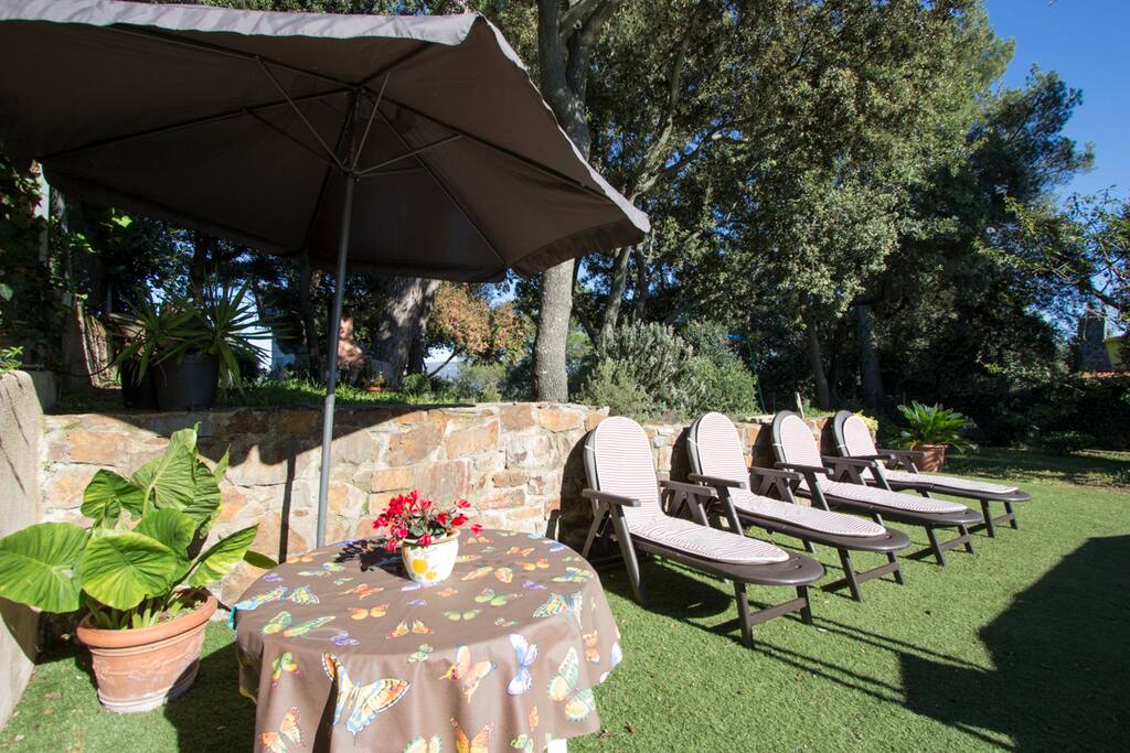 Sunny lounge chairs by the private pool