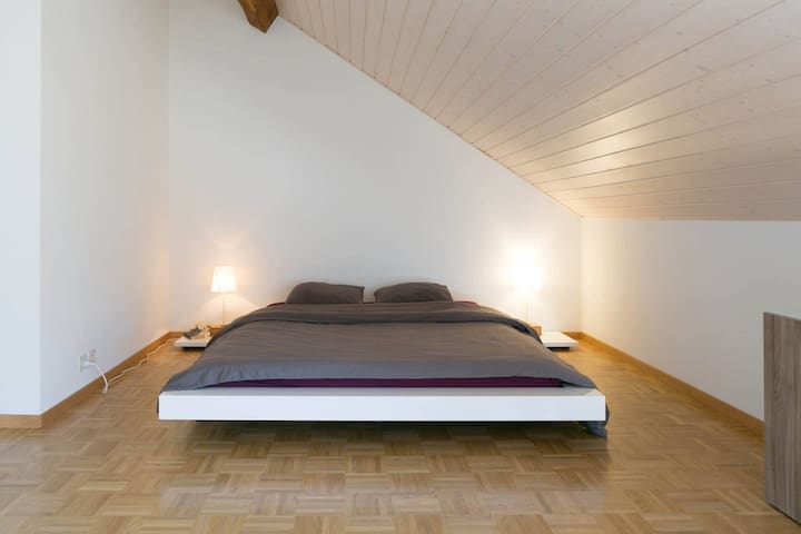 Center : Big room in attic apartment