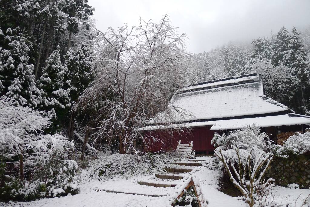 Our entrance in Winter