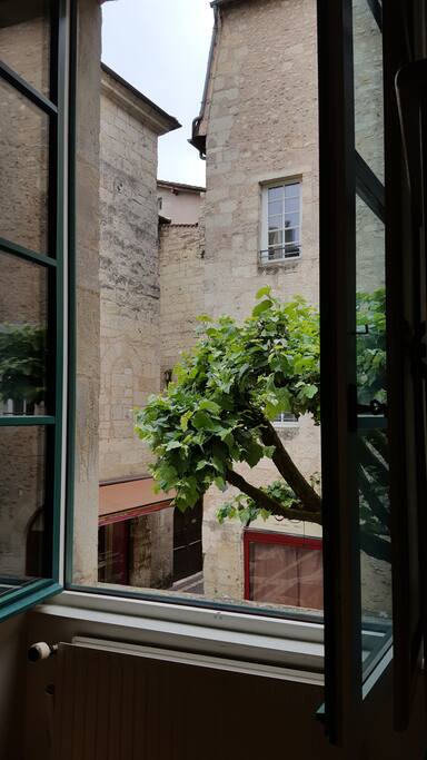 Vue depuis le salon