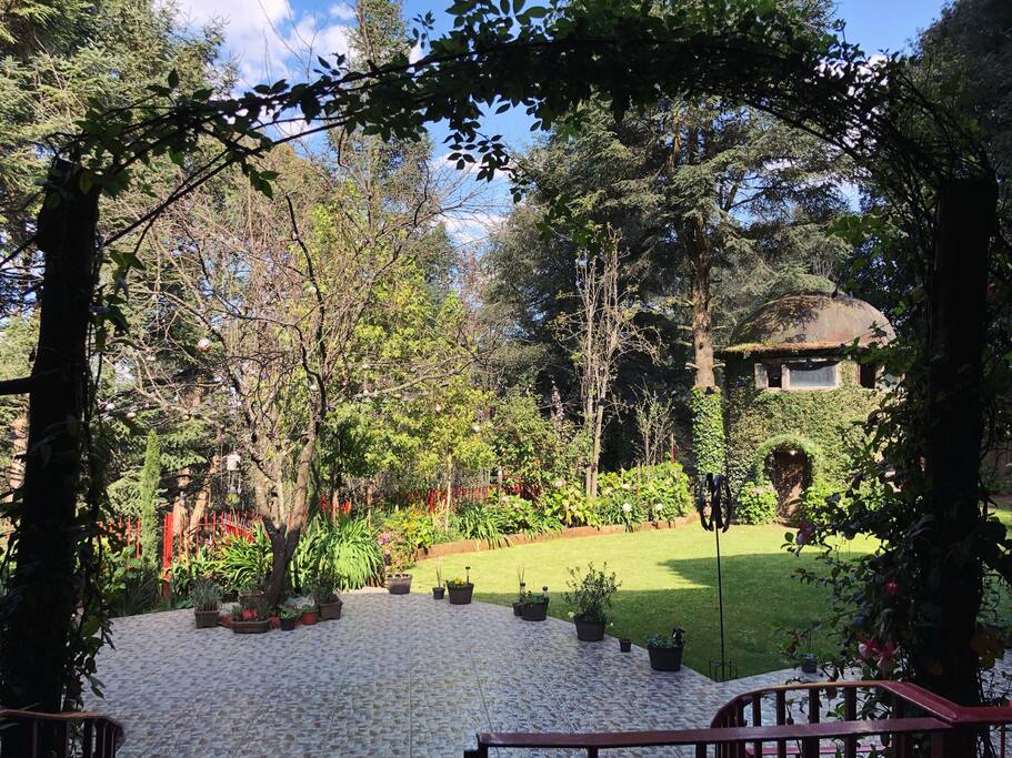 Vista al jardín desde la puerta principal