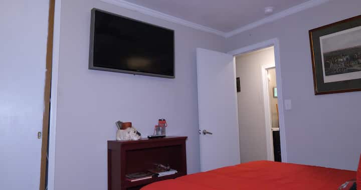 Televizor me krevat bulldog