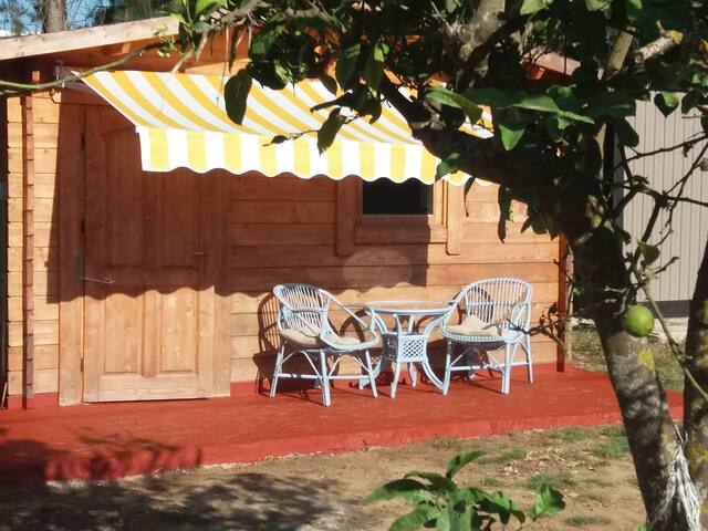 Bungalows, habitación, Estudio