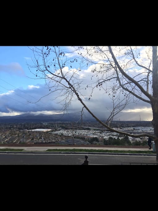 Views from the Living Room