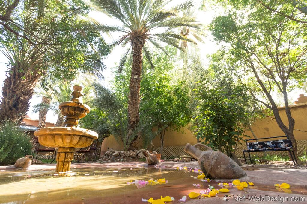 Jardin avec fontaine sous les grenadiers