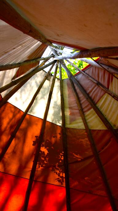 Tipi
