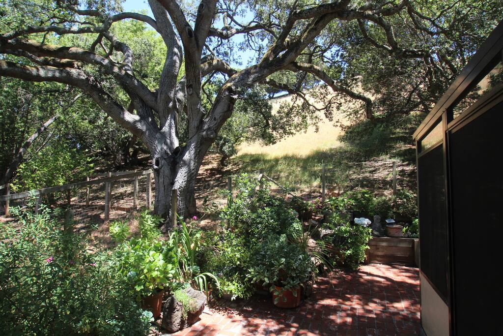 private rear garden