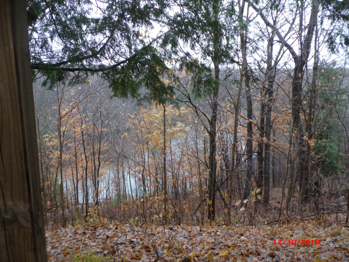 Manistee River cabin Cabins for Rent in Mesick, Michigan, United