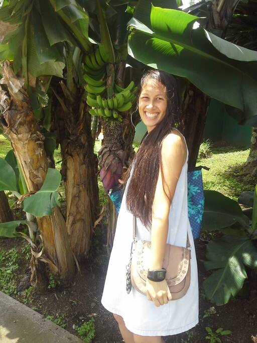 There is an abundance of natural flora and fauna in the neighborhood. Keep your eyes peeled for banana plants! (pun not intended)
Hay una abundancia de flora y fauna natural en el barrio. Saca un foto con una banana en su hábitat natural.