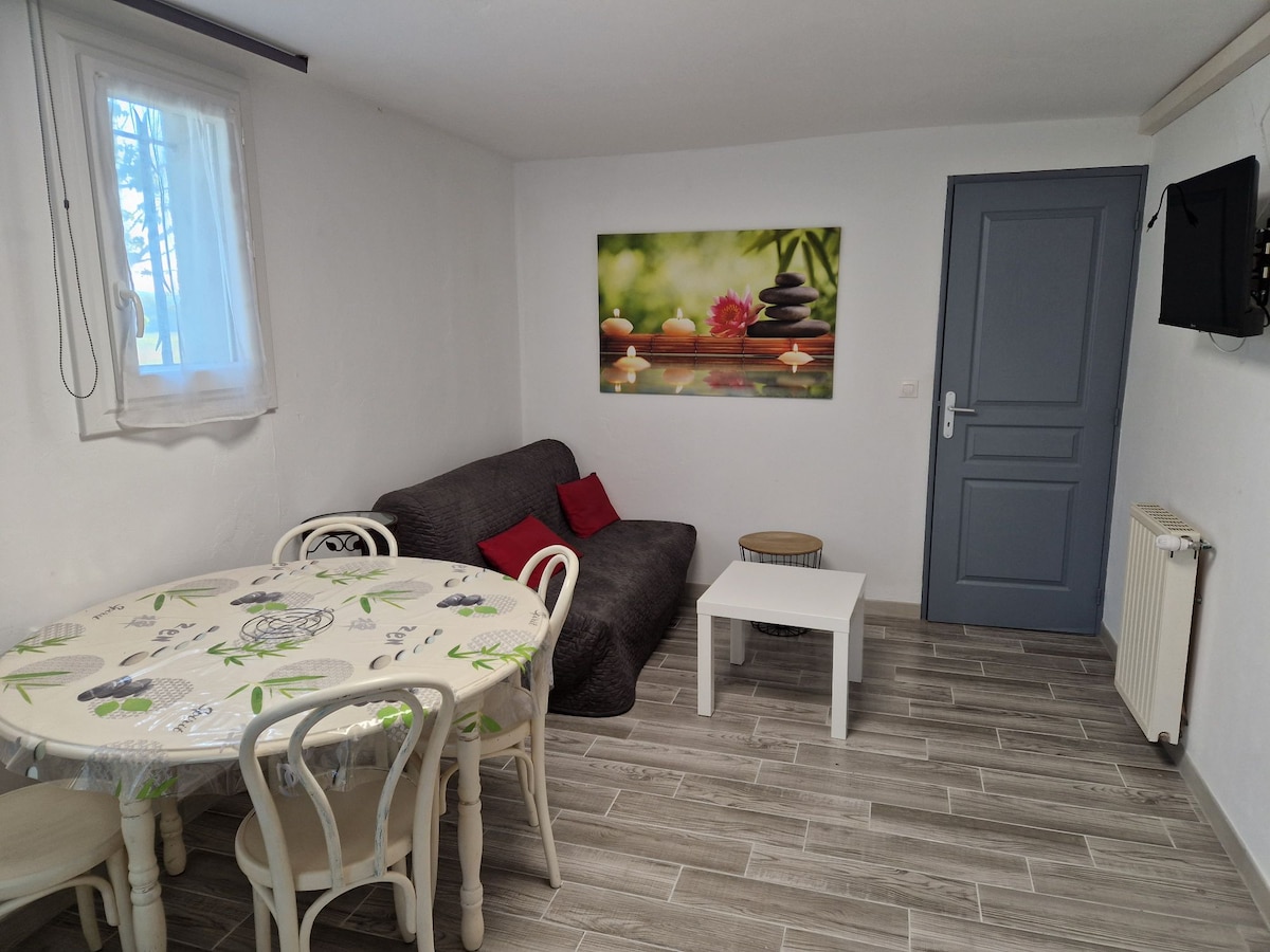 Ამ პატარა მისაღებ ოთახში არის გასაშლელი დივანი, ყავის მაგიდა და ტელევიზორი. Ეს სივრცე შეიძლება გამოყენებულ იქნას მისაღებ ოთახად ან დასაძინებლად.