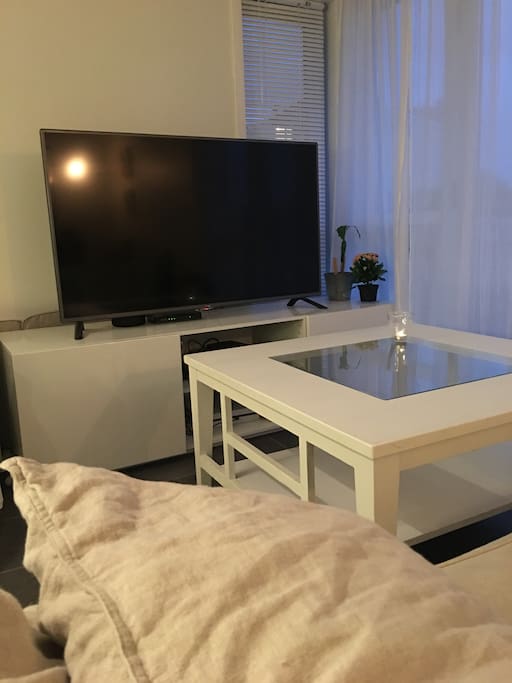 Stuedel med stor TV