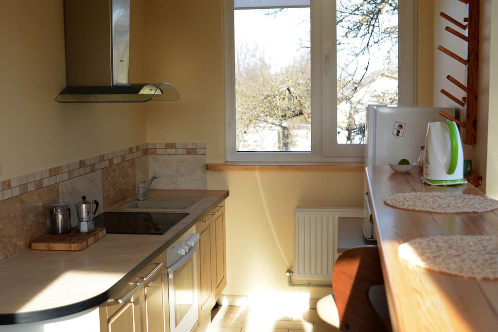 Kitchen: electric stove for cooking, microwave, fridge, lates, dishes etc.