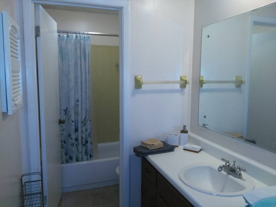 Bathroom with shower and bathtub