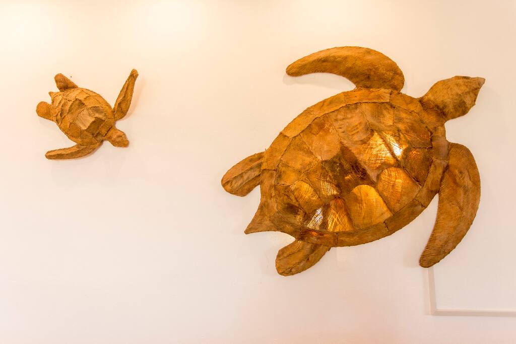 tortugas