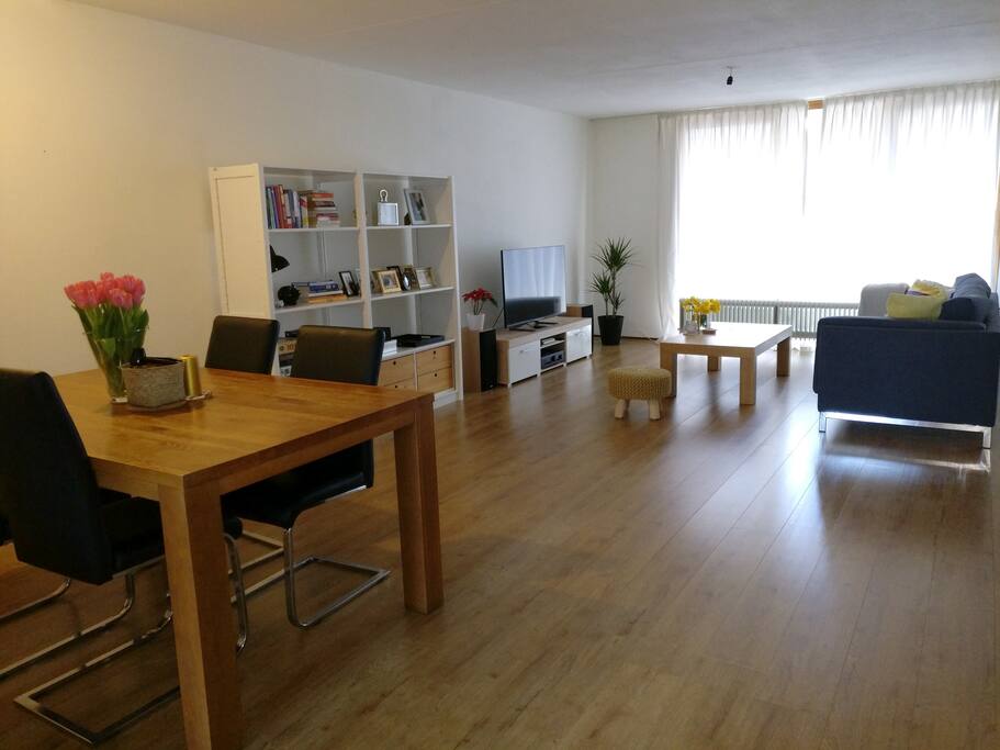 Shared spacious living room with dining