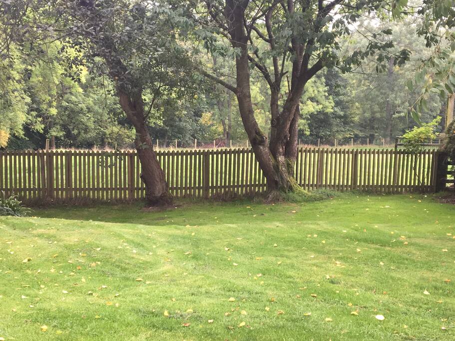 Enclosed Garden