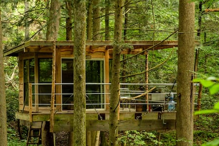 Flying-Squirrel-Tree-House