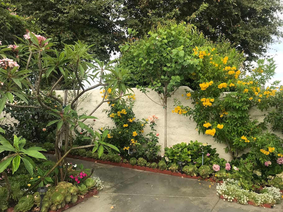 Beautiful entry thru flower garden