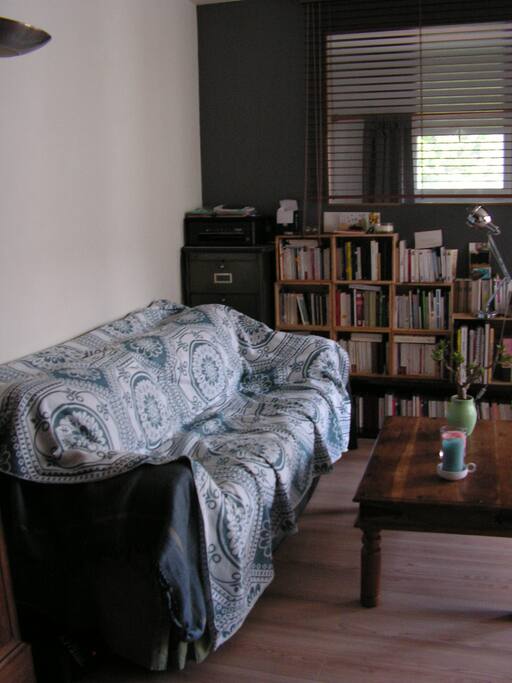 Salon - canapé, petite bibliothèque