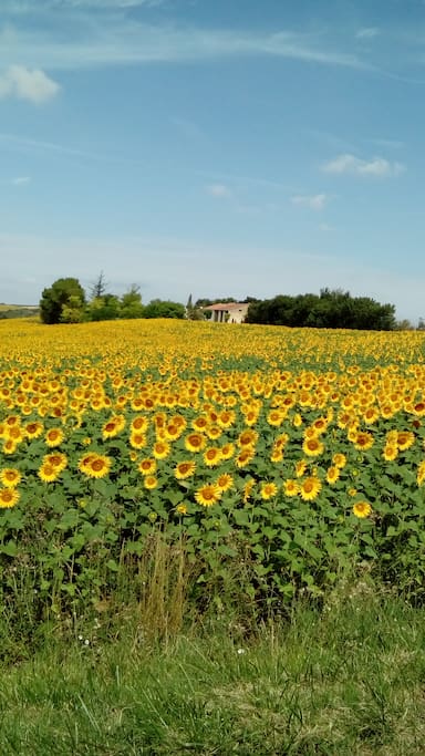Domaine de Gilde au loin