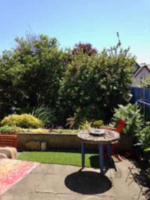My back garden