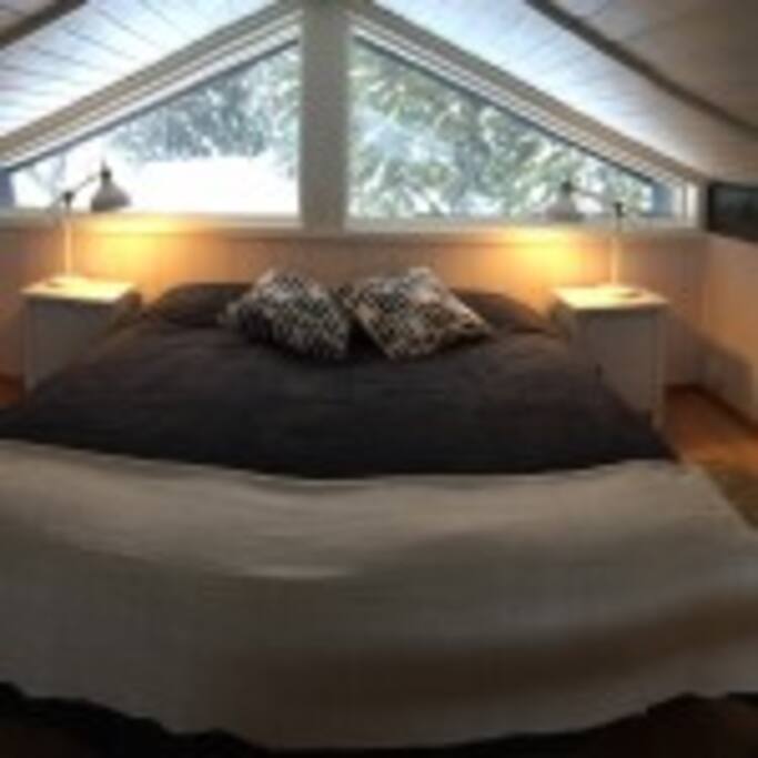Master bedroom with a view