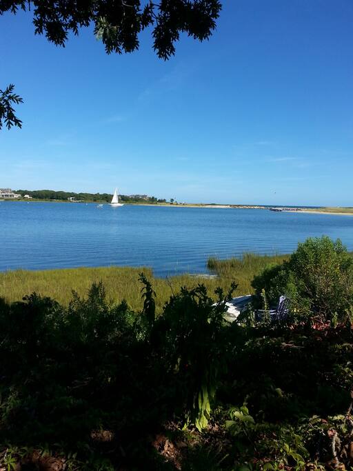 Daytime view from front yard