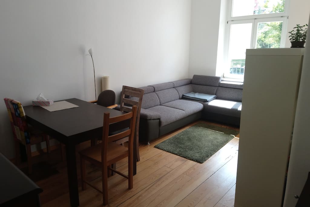gemütliches Wohnzimmer mit Schlafcouch