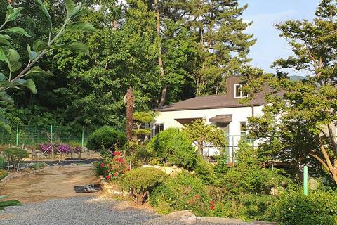 Hillside Garden House - a recent Canadian wooden house. Spacious and beautiful garden