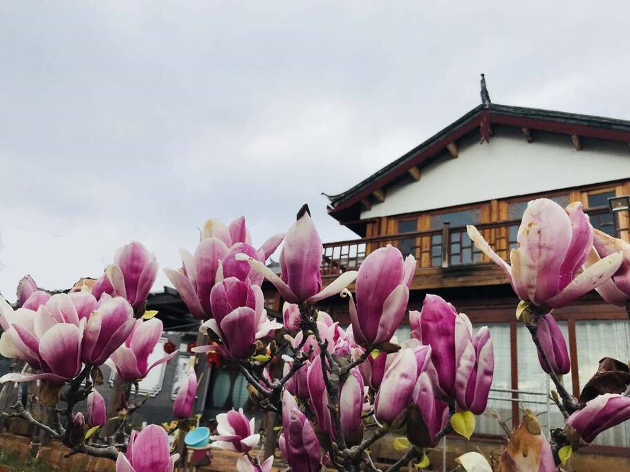 院子