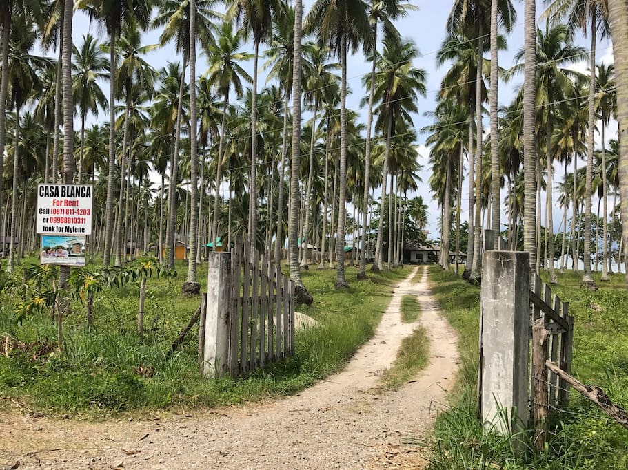 Entrance to the Beach Front Property of CASA BLANCA