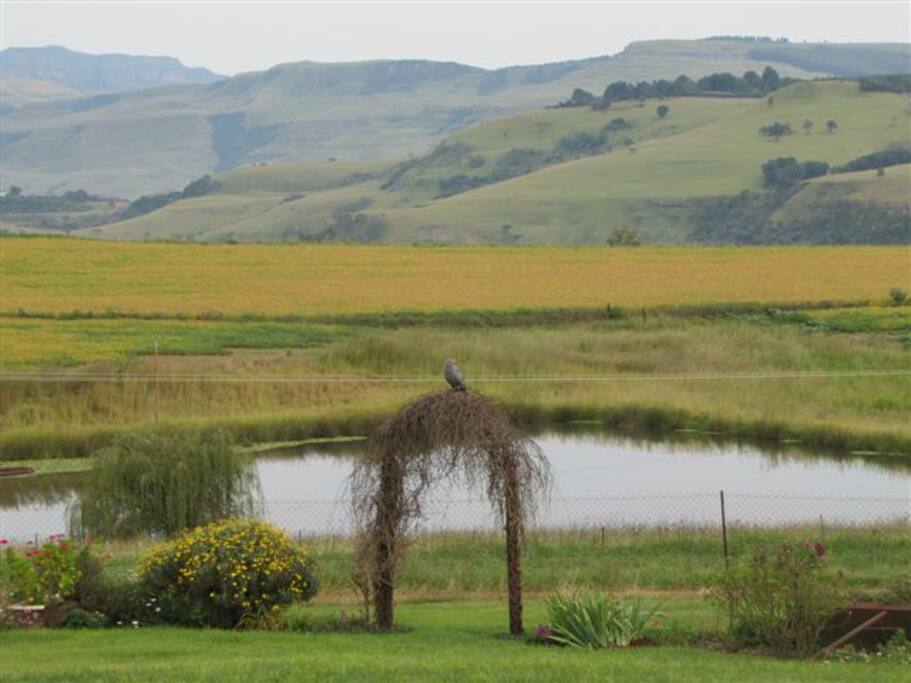 View from Berg Bauhaus of the bass dam and the "Little Berg" of the Central Drakensberg