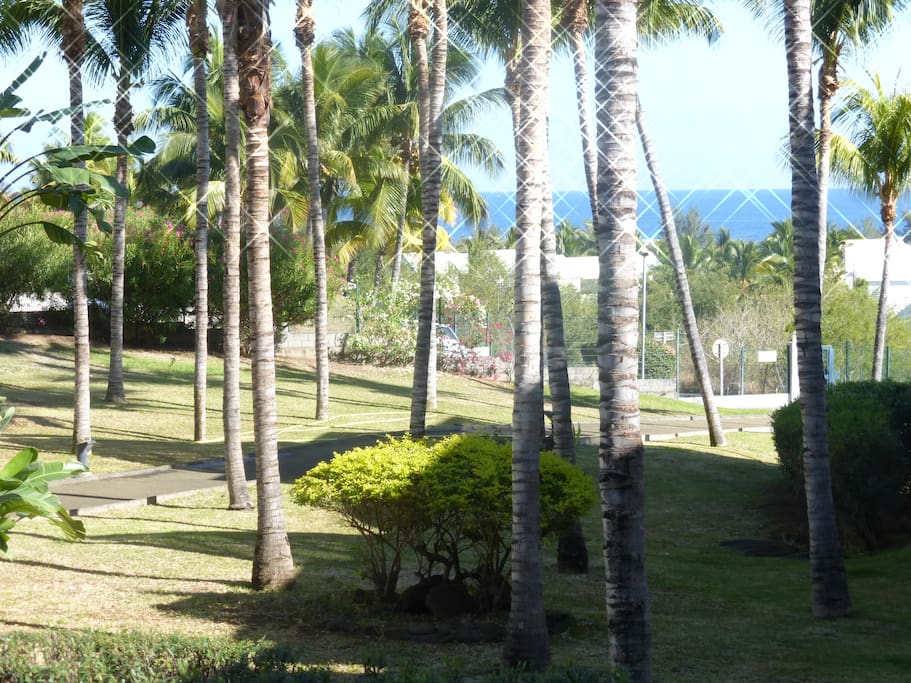 mer et jardin tropical ,vue du balcon