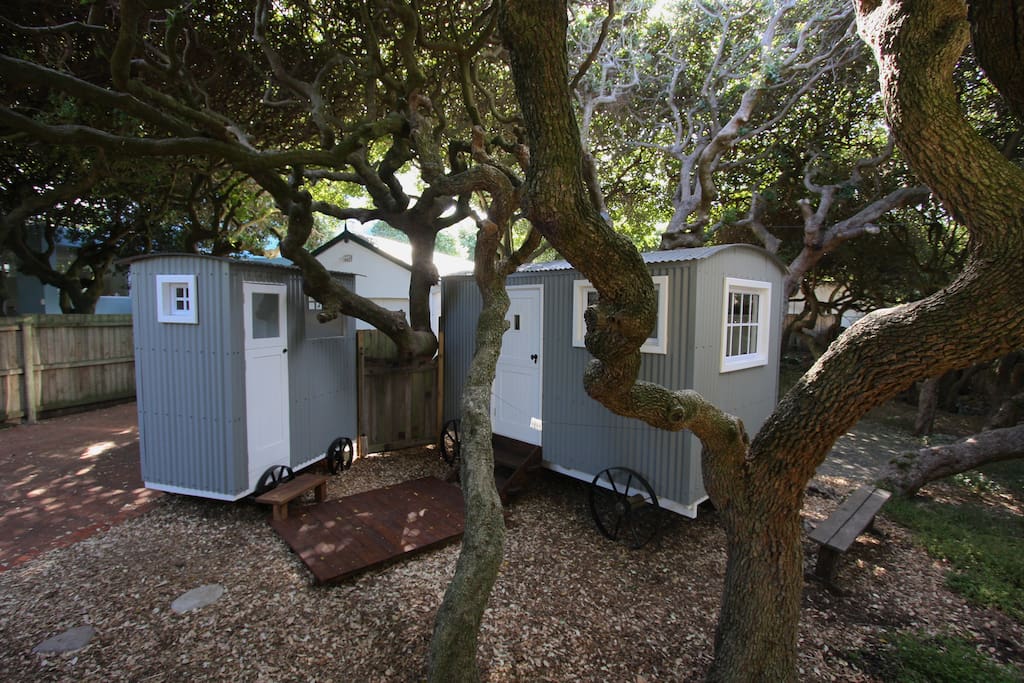 Shepherds huts under Milkwood trees