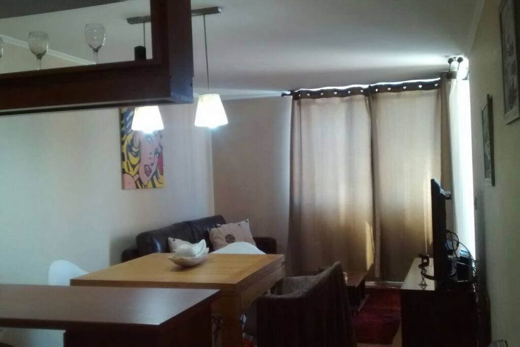Living y comedor