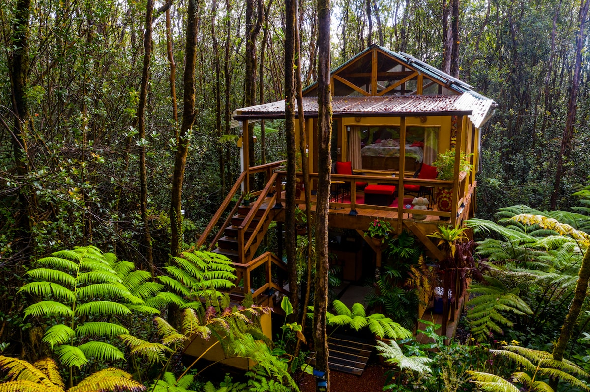 A wooden treehouse is elevated among lush greenery, surrounded by tall trees and vibrant ferns. The structure features large windows for natural light and a staircase leading to the entry. Bright red seating is visible on the lanai, enhancing the welcoming atmosphere of the retreat.