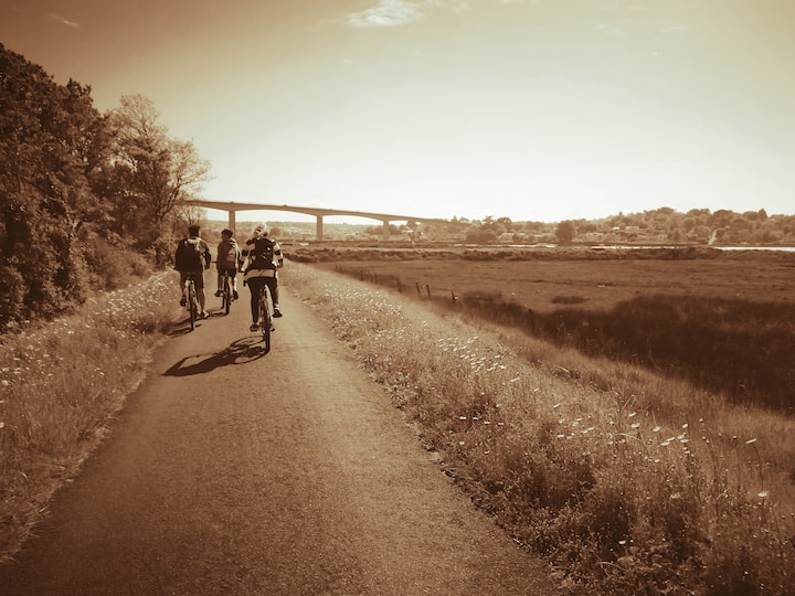 Cycle or walk the Tarka trail just 20 minutes away