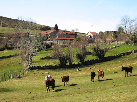 Apartamento Rural en Parque Natural Saja-Besaya