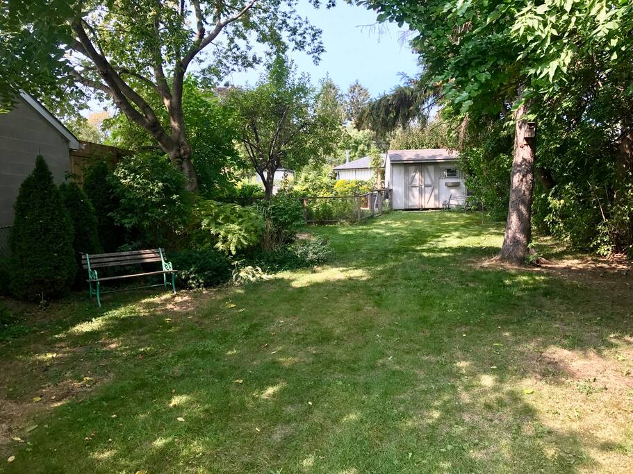 Backyard