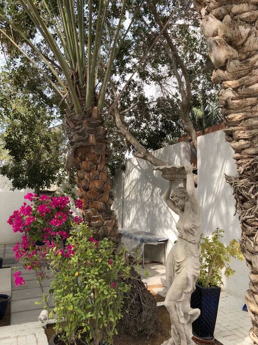 Beautiful Garden can be accessed by all the guests